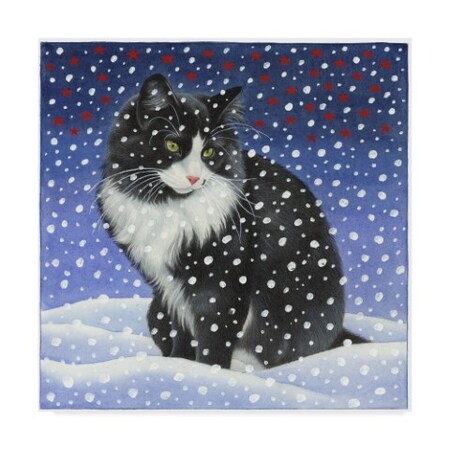 Francien Van Westering 'Black And White Cat 1' Canvas Art,24x24